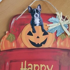 Boston terrier frenchie dog fall harvest pumpkin